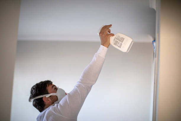 Best Certified Mold Removal  in Bath, MI
