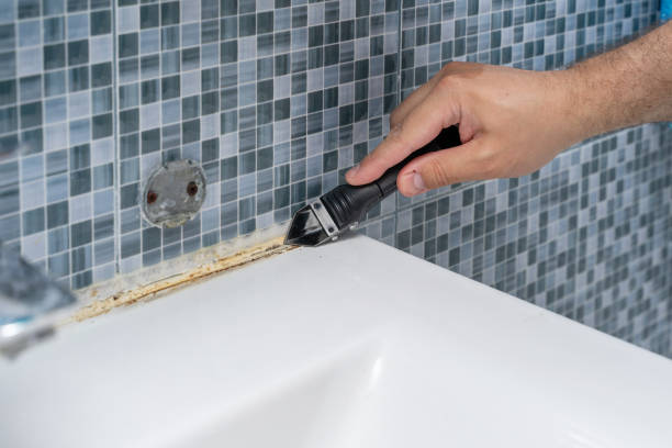 Best Mold Damage Repair  in Bath, MI