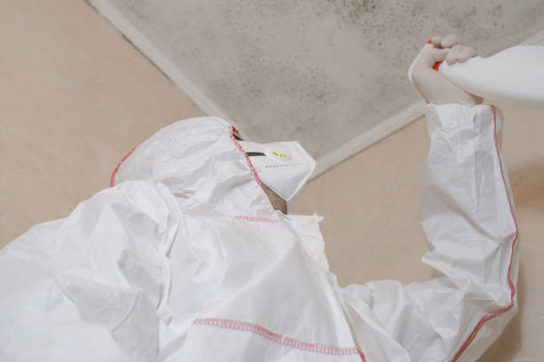 Best Commercial Mold Removal  in Bath, MI